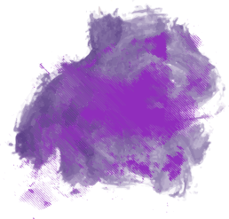 Patricia Rodrigues B. Honda